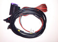 Ford Zetec Nodiz ECU Kabelboom – BRISCA/SSCA