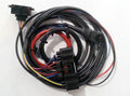 Ford Zetec OMEX ECU Kabelboom – BRISCA/SSCA