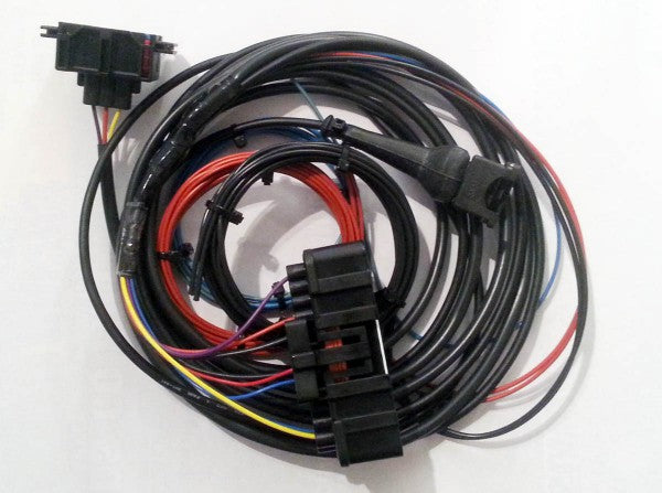 Ford Zetec OMEX ECU Kabelboom – BRISCA/SSCA
